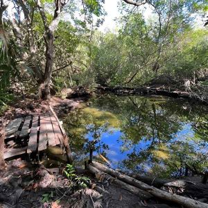 (TE67) Sisal Ntural Reserve, Snorkeling, Kayaking & Boat with Adventure