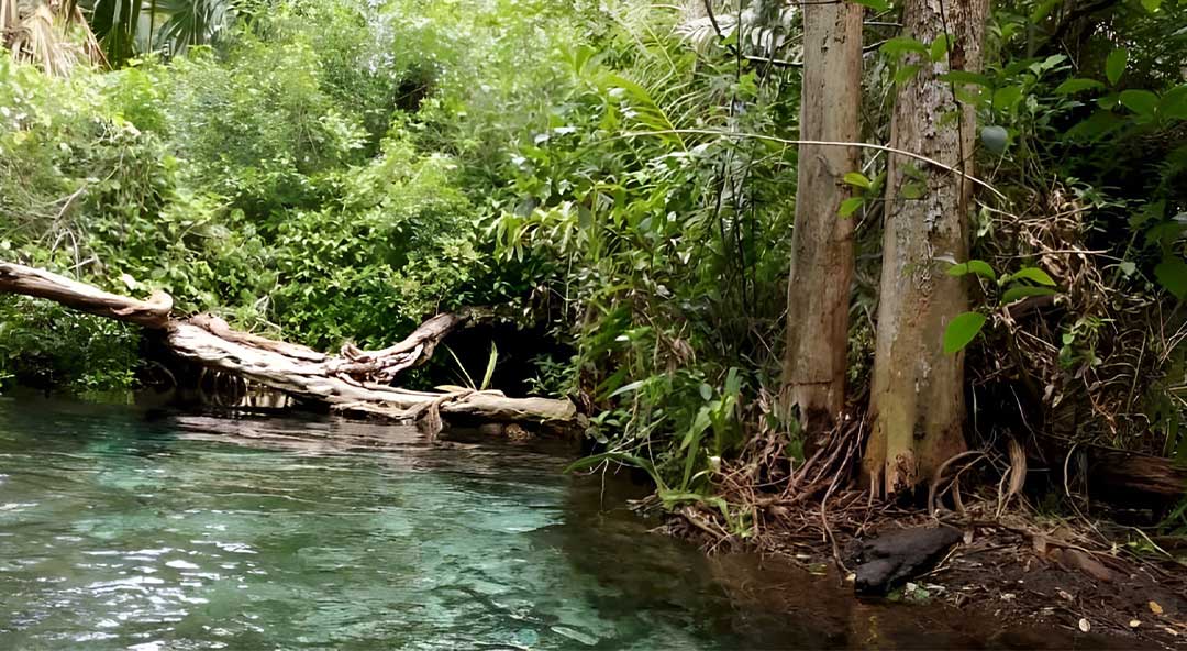 01-Sisal-Natural-Reserve-btuvi-TE66-hrad