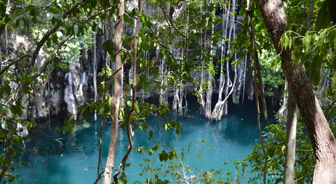 01-Yokdzonot-btuvi-TE58-head